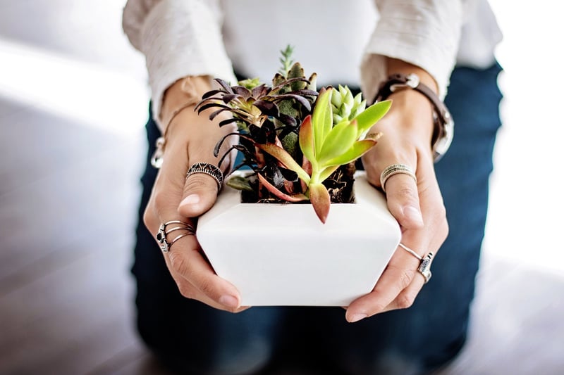 Plant Styling
